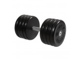 Гантель классик MB Barbell с вращающейся ручкой 45 кг MB-FdbEM-B45