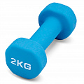 Гантель для аэробики неопреновая 2 кг PRCTZ NEOPRENE DUMBBELL PS7095 120_120